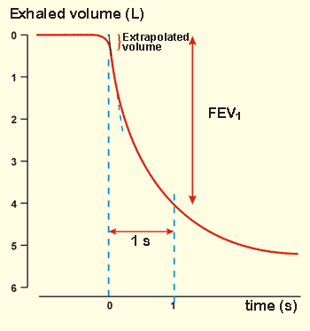 Forced expiratory volume in one second, FEV1