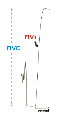 Forced inspiratory volume in 1 second, FIV1