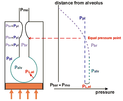 Equal pressure point concept
