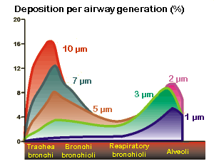 Deposition pattern of inhaled particles in various airway generations