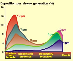 Inhaled particle diameter and deposition pattern in airways