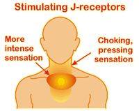 J-receptors and sensations they induce