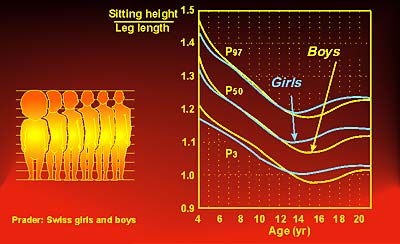Change in sitting height relative to leg length from birth to adulthood