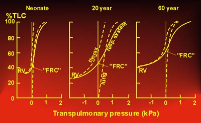 Transpulmonary pressure (kPa)